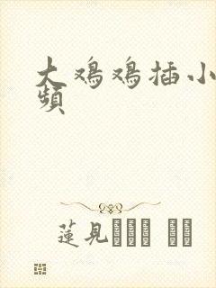 大鸡鸡插小逼视频