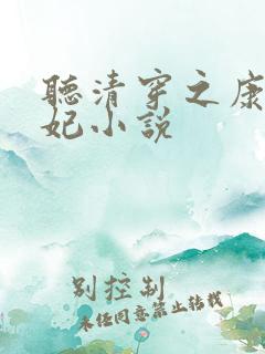 听清穿之康熙锦妃小说