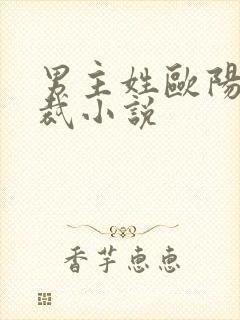 男主姓欧阳的总裁小说