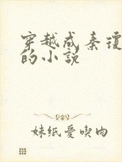 穿越成秦琼之子的小说