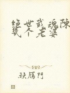 绝世武魂陈枫有几个老婆