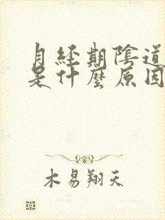 月经期阴道口痒是什么原因引起的