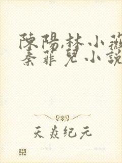陈阳,林小薇,秦菲儿小说