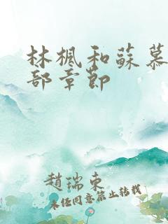 林枫和苏慕白全部章节