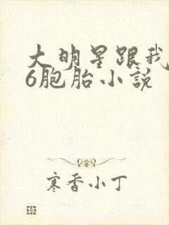 大明星跟我生了6胞胎小说