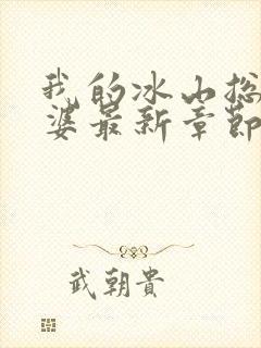 我的冰山总裁老婆最新章节阅读