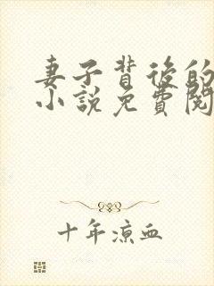 妻子背后的秘密小说免费阅读