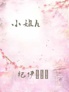 小姐h