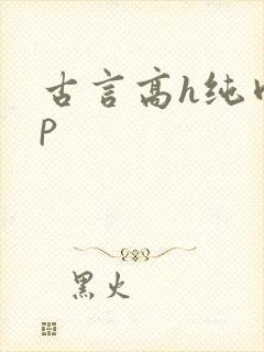 古言高h纯肉np