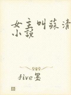女主叫苏清雪的小说