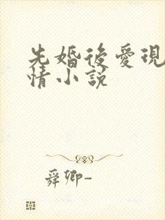 先婚后爱现代言情小说