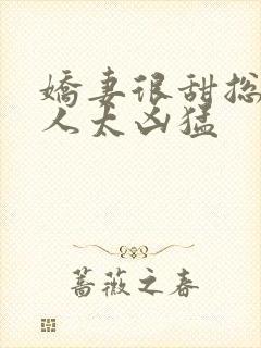 娇妻很甜总裁大人太凶猛