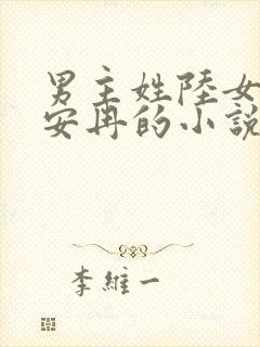 男主姓陆女主叫安冉的小说