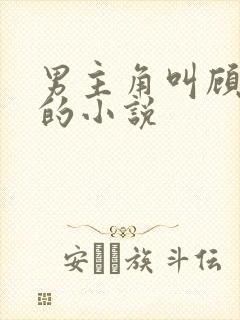 男主角叫顾景琛的小说