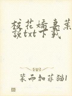 校花娇妻叶子小说txt下载