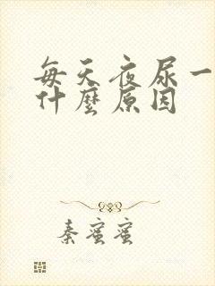 每天夜尿一次是什么原因