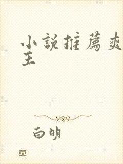 小说推荐爽文女主