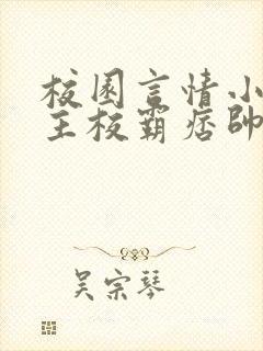 校园言情小说男主校霸痞帅