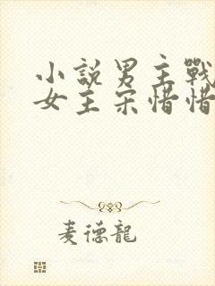 小说男主战北望女主宋惜惜的小说