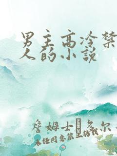 男主高冷禁欲撩人的小说