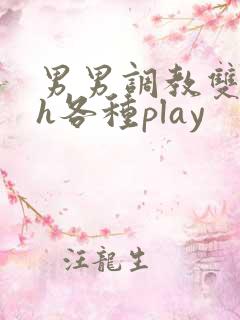 男男调教双性高h各种play