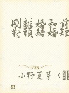 刚离婚和前妻死对头结婚短剧