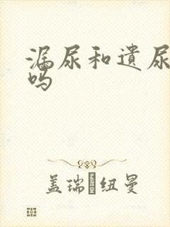 漏尿和遗尿一样吗