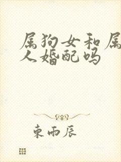 属狗女和属马男人婚配吗
