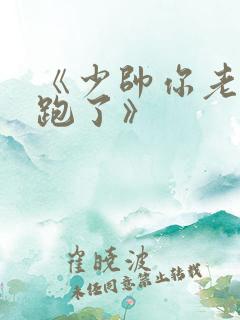 《少帅你老婆又跑了》