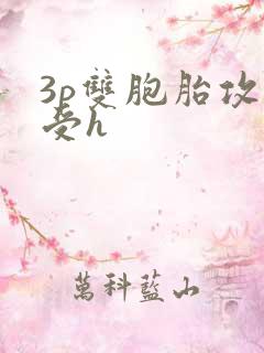 3p双胞胎攻一受h