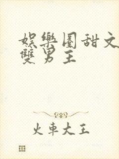 娱乐圈甜文推荐双男主