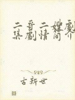 二哥二嫂剧情分集剧情简介