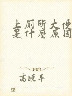 上厕所大便很臭是什么原因