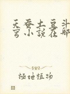 天蚕土豆斗破苍穹小说在哪可以看