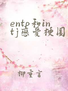 entp和intj恋爱梗图