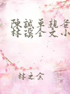 陈诚单亲爸爸,林瑶全文小说免费阅读