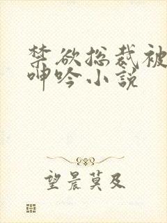 禁欲总裁被揉裆呻吟小说