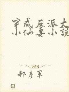 穿成反派大佬的小仙妻小说免费阅读