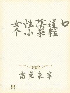 女性阴道口起一个小米粒