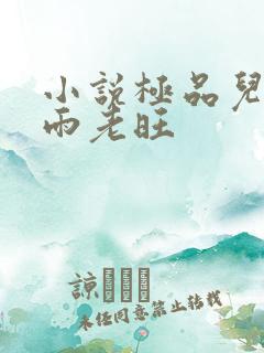 小说极品儿媳秦雨老旺