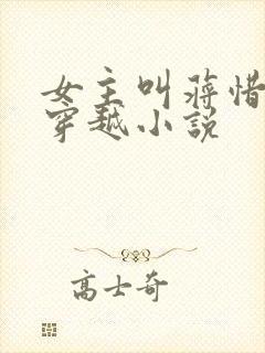 女主叫蒋惜纯的穿越小说