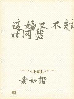 这婚又不离了txt网盘