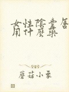 女性阴囊唇瘙痒用什么药