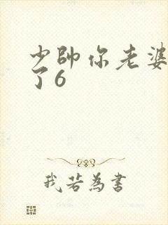 少帅你老婆又跑了6