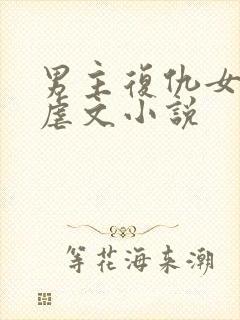 男主复仇女主的虐文小说