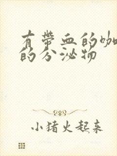 有带血的咖啡色的分泌物