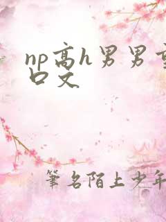 np高h男男重口文