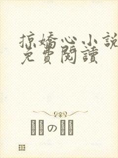 掠娇心小说全文免费阅读