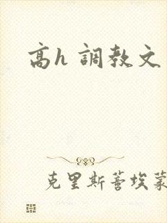 高h 调教文
