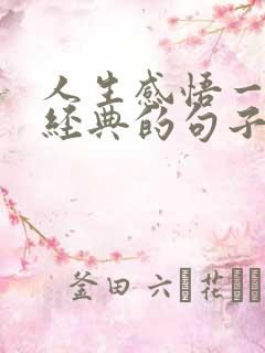 人生感悟一段很经典的句子